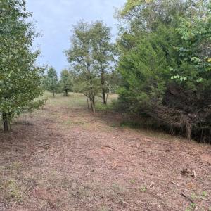 lot 4a