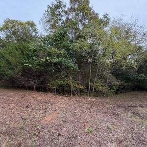 lot 4b