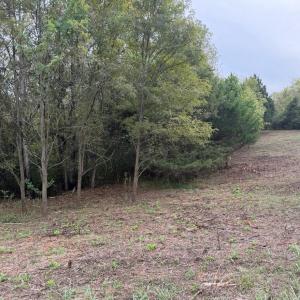 lot 4c