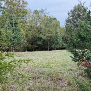 lot 3