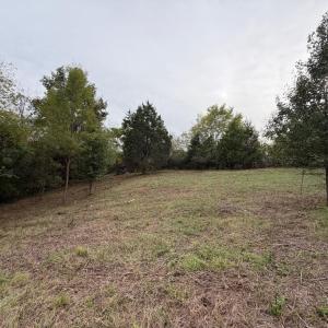 lot 3b