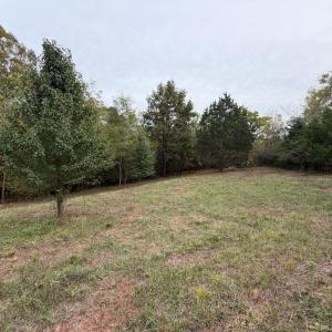 lot 3c