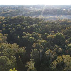 DJI_0766
