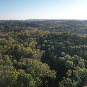 DJI_0767