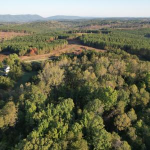 DJI_0768