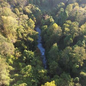 DJI_0772