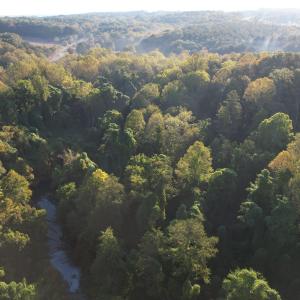 DJI_0773