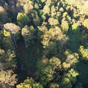 DJI_0775