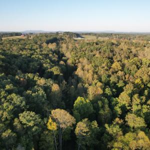 DJI_0776