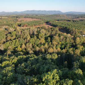 DJI_0777