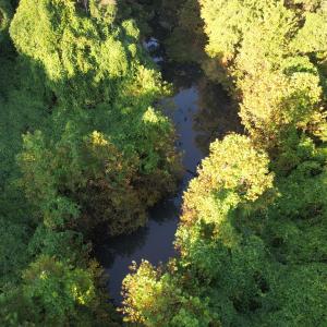 DJI_0792