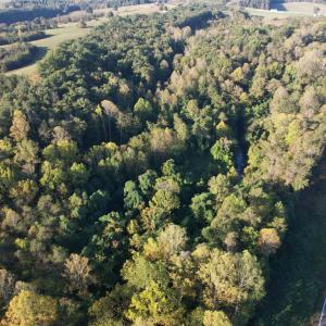 DJI_0794