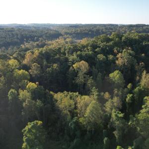 DJI_0795