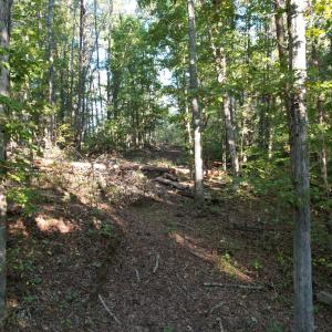 DJI_0800