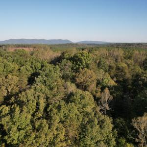 DJI_0803