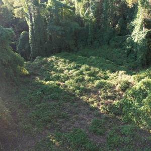DJI_0805