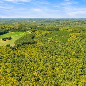 10_dji_20260915134514_0029_d