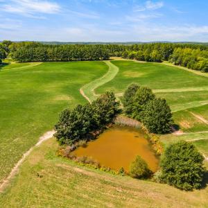 13_dji_20260915134754_0035_d