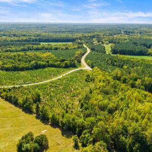 22_dji_20260915140249_0053_d