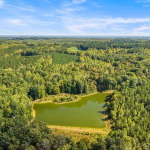 28_dji_20260915151818_0064_d