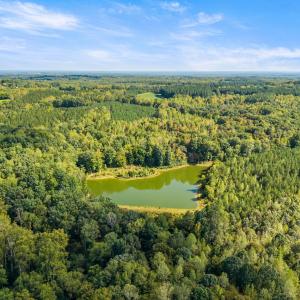 29_dji_20260915151830_0065_d