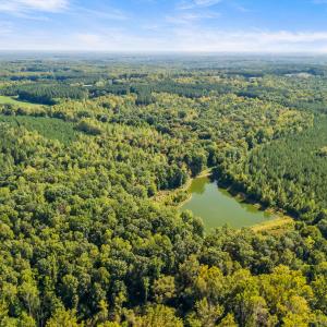 35_dji_20260915152409_0074_d