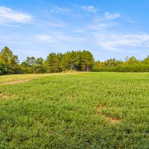 42_dji_20260915154848_0084_d