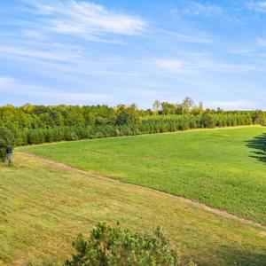 43_dji_20260915154927_0085_d
