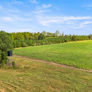44_dji_20260915154943_0086_d