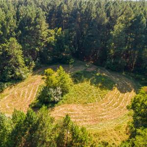48_dji_20260915155329_0094_d