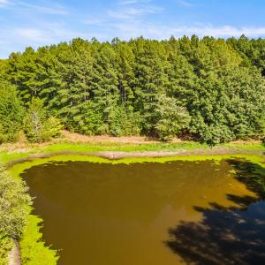 51_dji_20260915155533_0098_d