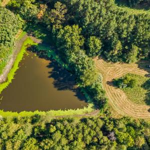 52_dji_20260915155614_0099_d