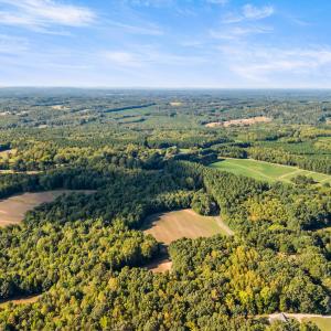 63_dji_20260915164032_0113_d