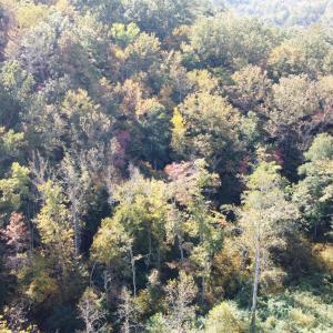 DJI_0668