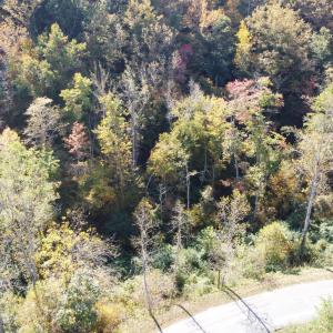 DJI_0669