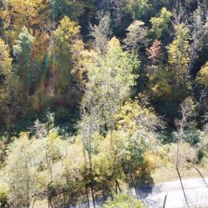 DJI_0670