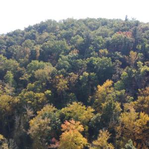DJI_0672