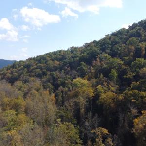 DJI_0673