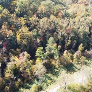 DJI_0677