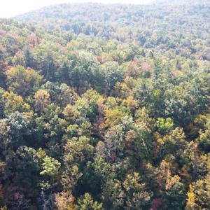 DJI_0678