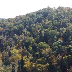 DJI_0680
