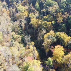 DJI_0681