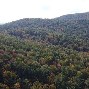 DJI_0683