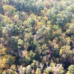 DJI_0684