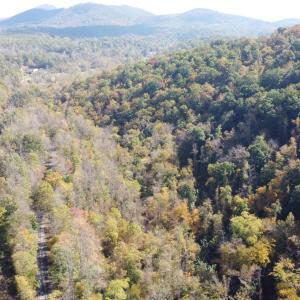 DJI_0687