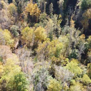 DJI_0689