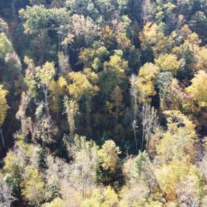 DJI_0690