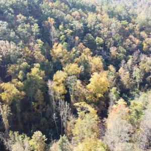 DJI_0691
