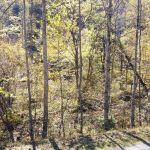 DJI_0699