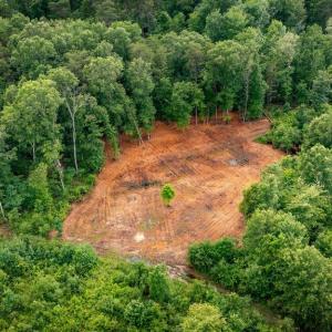 Photo #16 of RITCHIE RD, MIDLAND, VA 30.0 acres